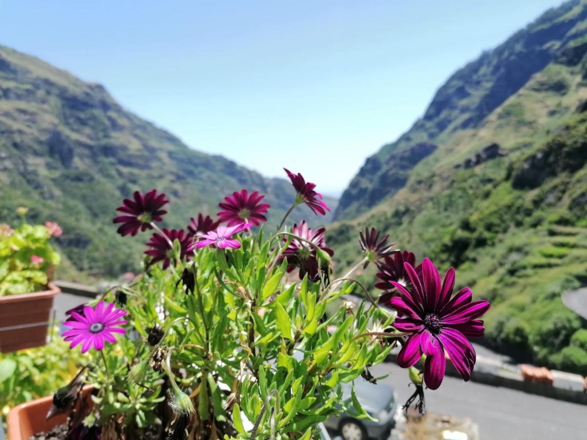 Green Valley House Madeira Ribeira Brava Extérieur photo